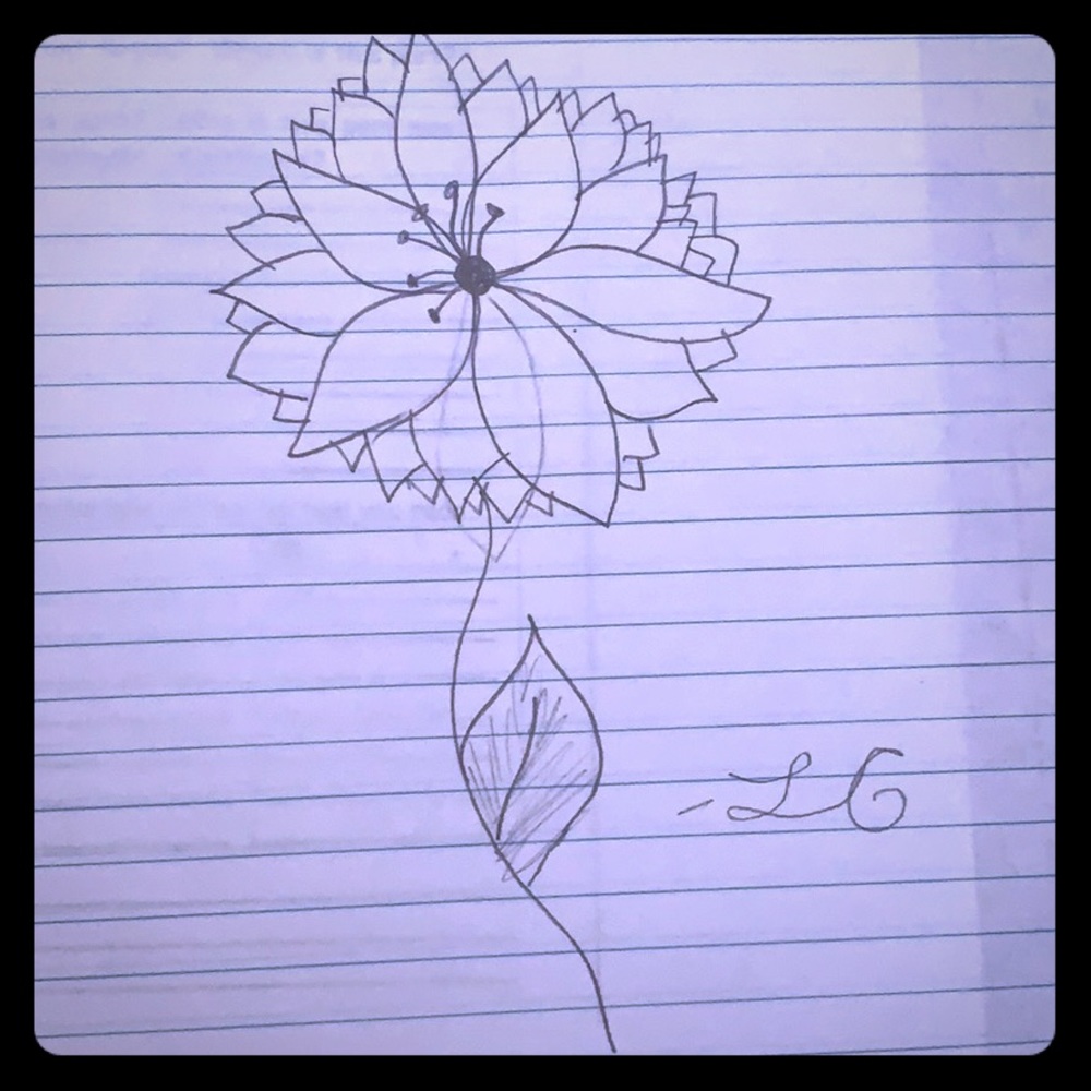 Flower drawing